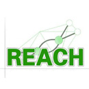 REACH檢測